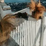 Дом отдыха Fos Of *