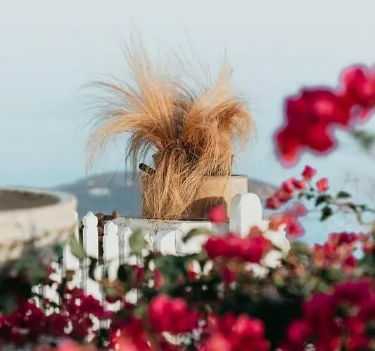 בית נופש Fos Of